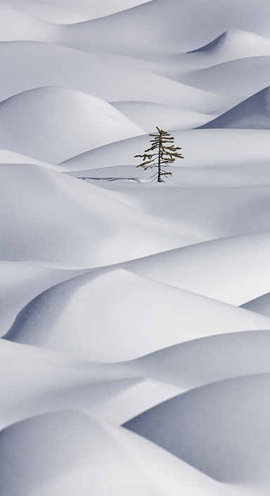 首页| 凯发K8国际·天生赢家一触即发